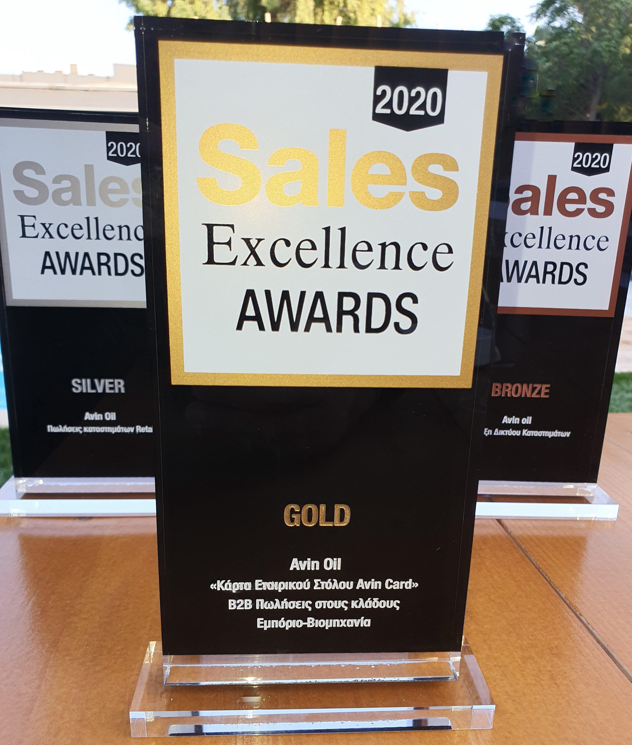 Σημαντικές διακρίσεις για την AVIN στα Sales Excellence Awards